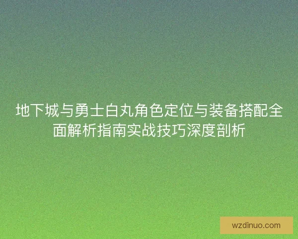 地下城与勇士白丸角色定位与装备搭配全面解析指南实战技巧深度剖析