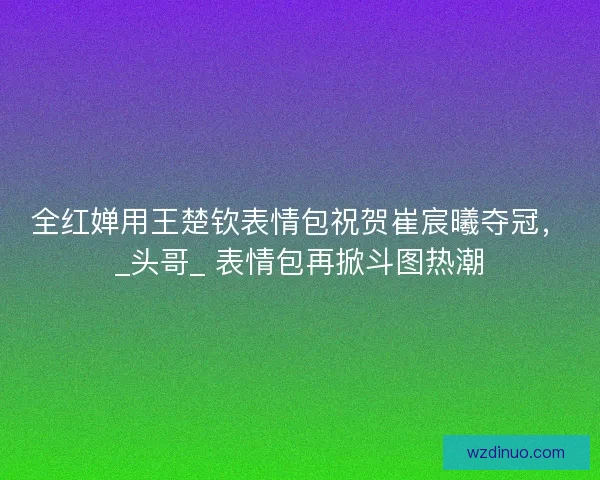 全红婵用王楚钦表情包祝贺崔宸曦夺冠，_头哥_ 表情包再掀斗图热潮