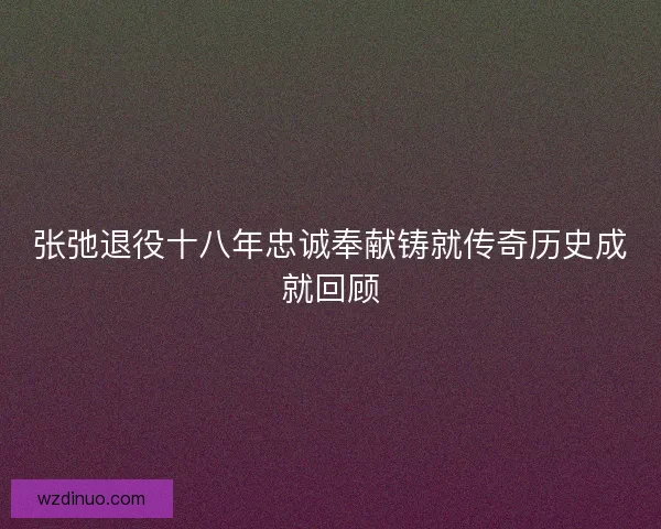 张弛退役十八年忠诚奉献铸就传奇历史成就回顾